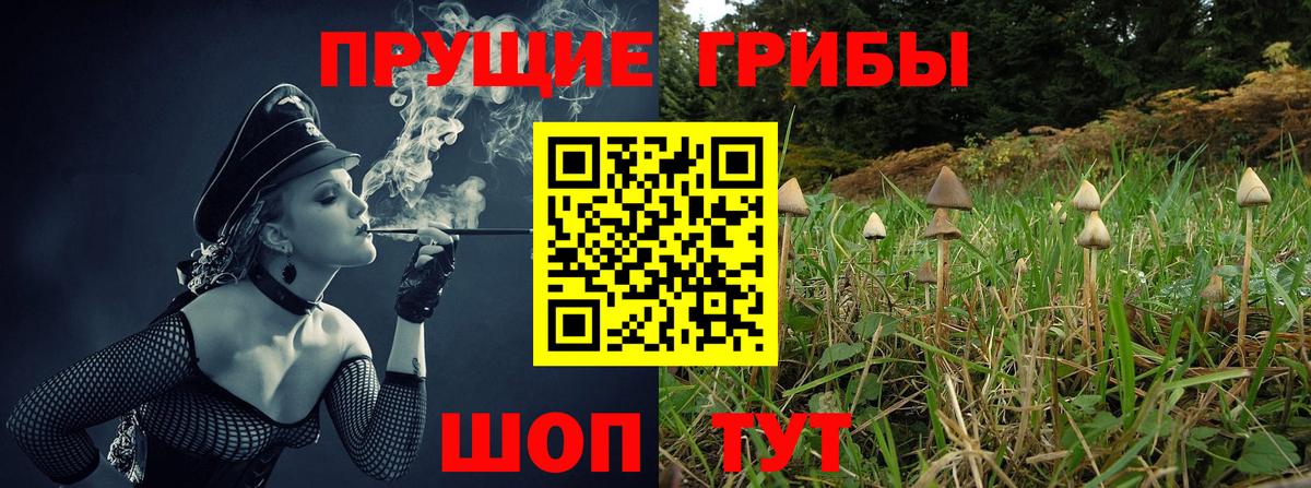 Дивногорск  Галлюциногенные грибы Magic Shrooms  Вход с VPN 
